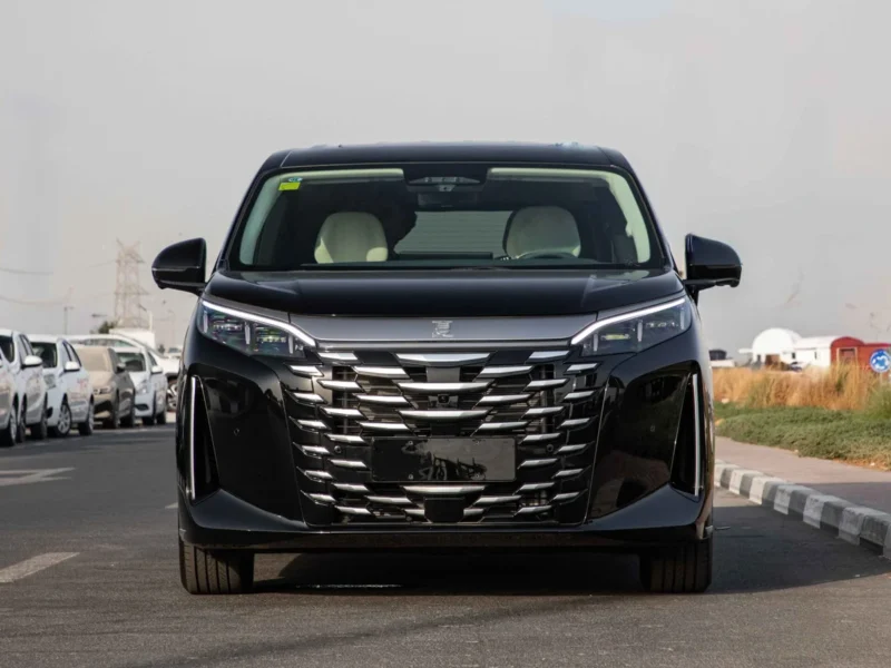 2025 BYD XIA DM-i Hybrid BYD XIA 0KM Black White Van