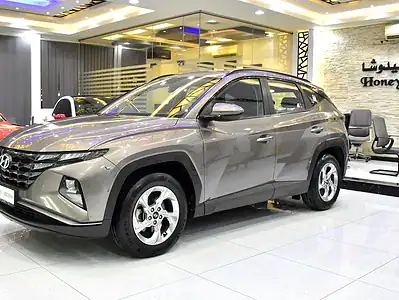2023 Hyundai Tucson GL 4 Cylinder Engine Petrol Brown Black SUV