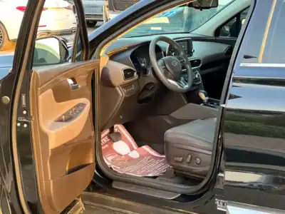 2020 Hyundai Santa Fe SE 4 Cylinders Engine Petrol Black Brown SUV