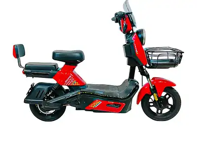 Wind Horse M6 Electric Bike Up to 40 km/h