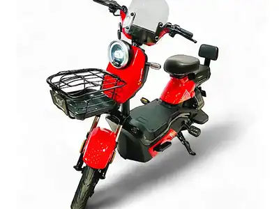 Wind Horse M6 Electric Bike Up to 40 km/h