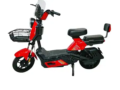 Wind Horse M6 Electric Bike Up to 40 km/h