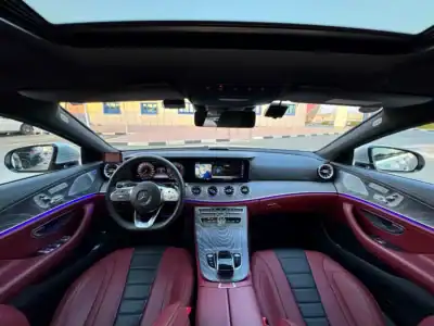 2019 Mercedes-Benz CLS-Class CLS 450 4Matic 4.5 Auction Grade Silver Red Coupe