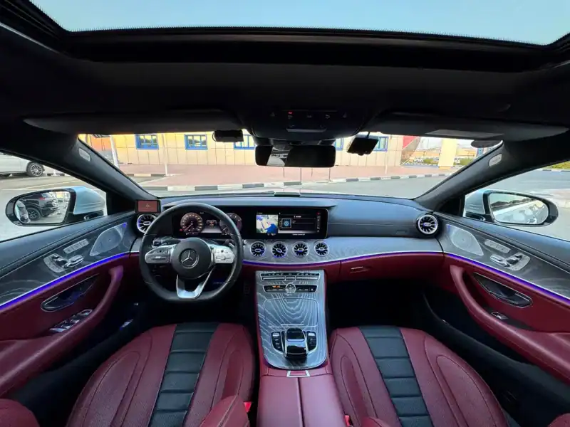 2019 Mercedes-Benz CLS-Class CLS 450 4Matic 4.5 Auction Grade Silver Red Coupe