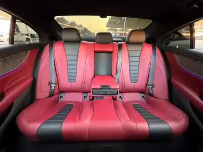 2019 Mercedes-Benz CLS-Class CLS 450 4Matic 4.5 Auction Grade Silver Red Coupe