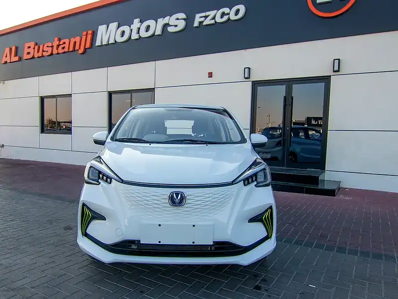 2024 Changan E-Star Full Option 250 - 350 KM White Blue Hatchback