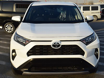 2019 Toyota Rav 4 2.5L 4 Cylinder Engine White Black SUV AT