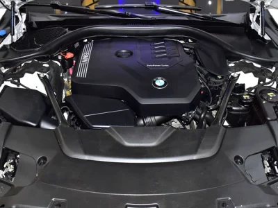 2022 BMW 7-Series 730Li 4 Cylinders Engine Petrol White Brown Sedan