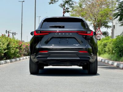 2022 Lexus NX350h Platinum 2.5L Hybrid 4 Cylinders Engine Black Red SUV