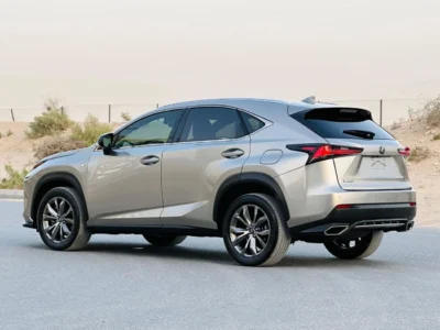2020 Lexus NX300 F Sport 2.0 Liters 4 Cylinders Engine Gold Black SUV