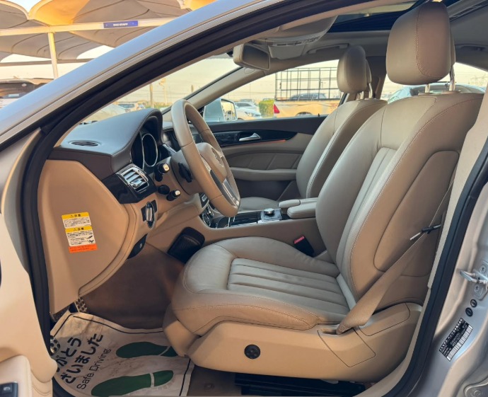 Mercedes-Benz CLS550 AMG Package 4.7L V8 Biturbo Silver Tan Sedan RWD