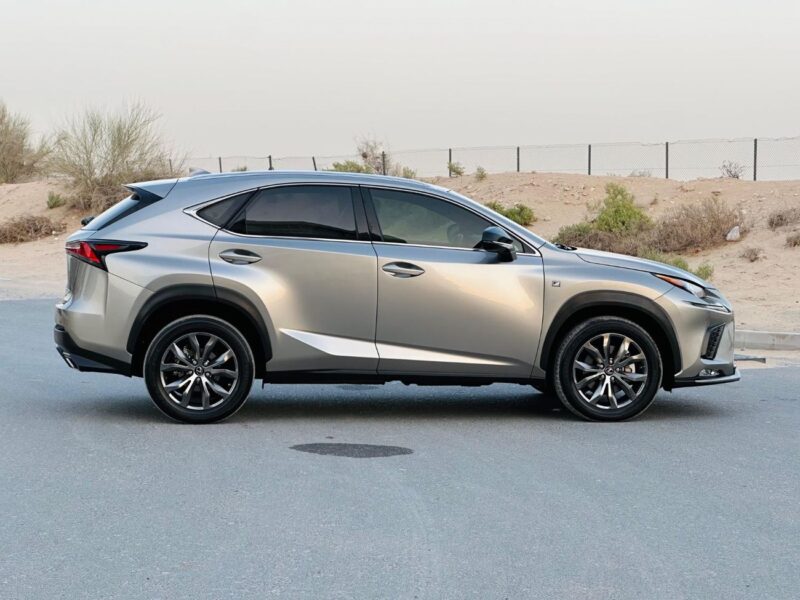 2020 Lexus NX300 F Sport 2.0 Liters 4 Cylinders Engine Gold Black SUV