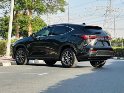 2022 Lexus NX350h Platinum 2.5L Hybrid 4 Cylinders Engine Black Red SUV