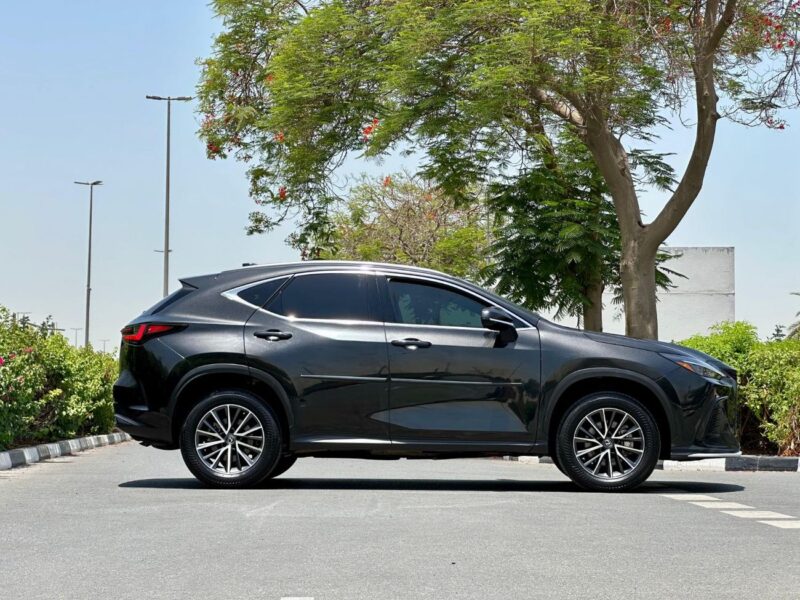 2022 Lexus NX350h Platinum 2.5L Hybrid 4 Cylinders Engine Black Red SUV