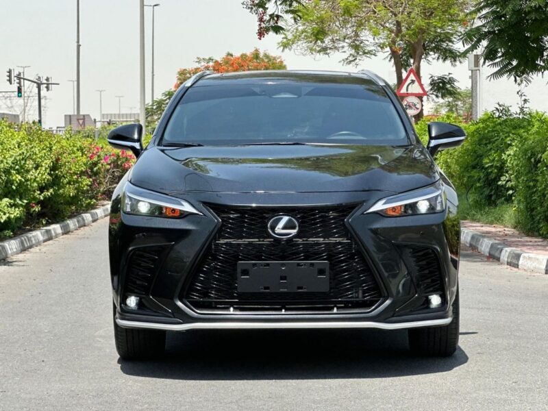 2022 Lexus NX350h Platinum 2.5L Hybrid 4 Cylinders Engine Black Red SUV