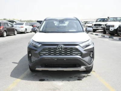 2025 Toyota RAV 4 2.5L 4 Cylinders Engine HEV Limited Grey Beige Crossover