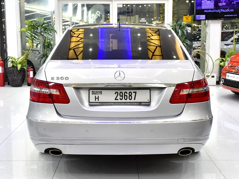 2010 Mercedes-Benz E-Class E 300 6 Cylinders Engine Silver Black Sedan