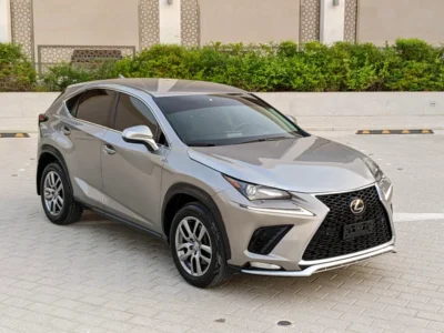 2017 Lexus NX-Series NX 200t 4 Cylinders Engine Gold Black SUV American Specs