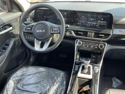 2025 Kia Seltos KIA SELTOS Black Roof 1.5 L 4 Cylinders Engine White Black SUV