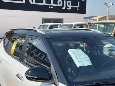 2025 Kia Seltos KIA SELTOS Black Roof 1.5 L 4 Cylinders Engine White Black SUV