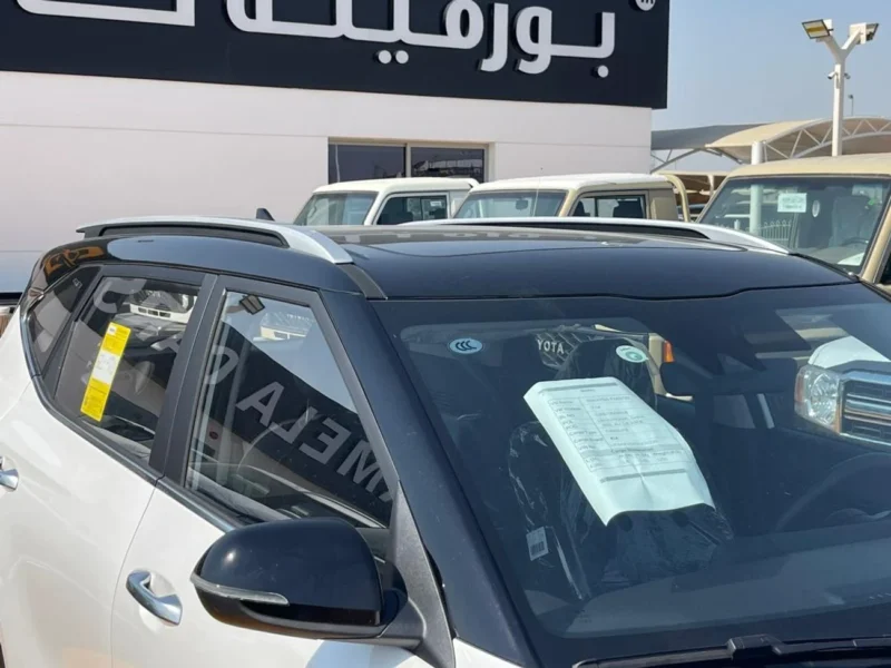 2025 Kia Seltos KIA SELTOS Black Roof 1.5 L 4 Cylinders Engine White Black SUV