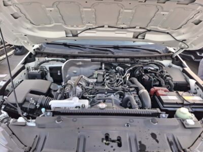 2025 Mitsubishi L200 2.4L 4 Cylinders Engine MT DC White Black Petrol Black Truck