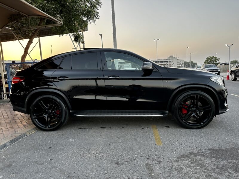 2017 Mercedes-Benz GLE 43 AMG 3.0L V6 DOHC 24V Biturbo Black White SUV