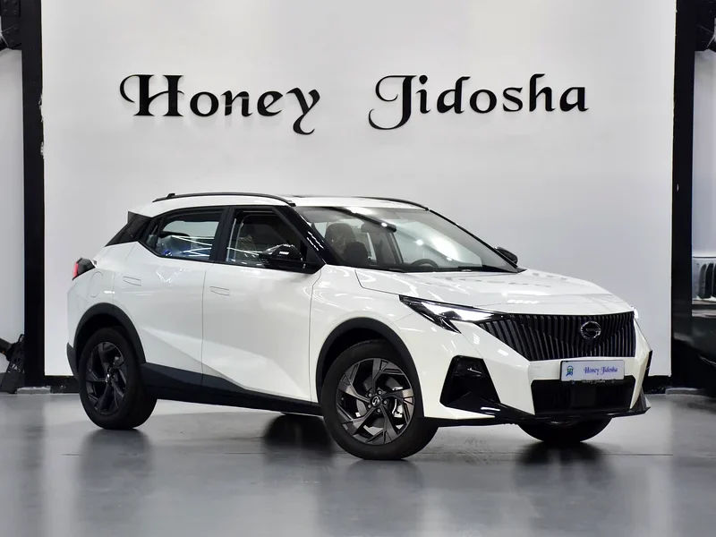 2026 GAC EMZOOM GL Plus 4 Cylinder Engine Petrol White Beige Crossover