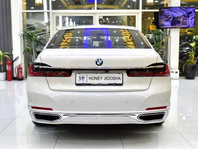 2022 BMW 7-Series 730Li 4 Cylinders Engine Petrol White Brown Sedan