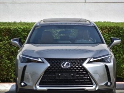 2024 Lexus UX 200 2.0L Inline-4 Petrol Engine Silver Tan SUV FWD