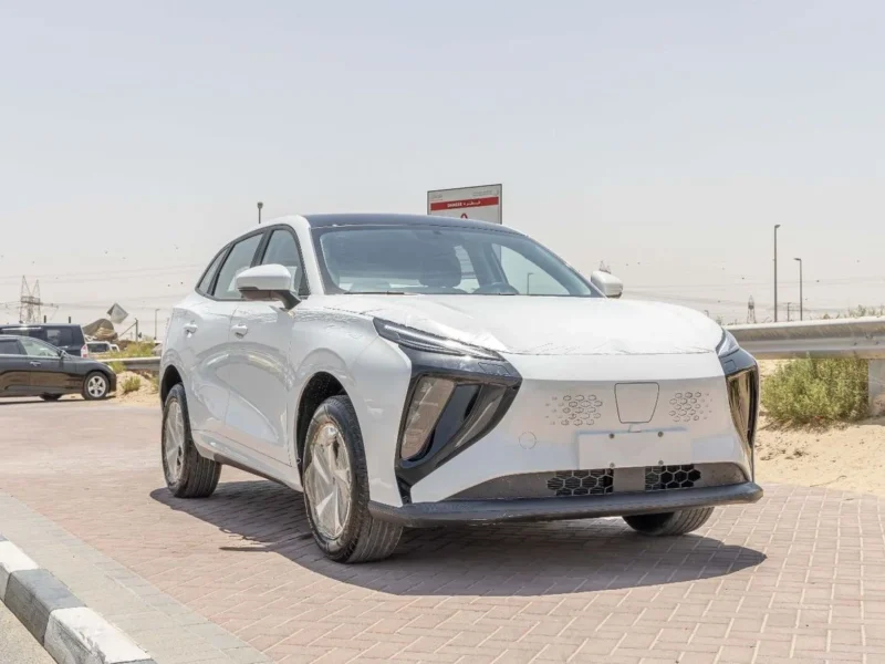 2025 Forthing Friday Dong Feng Electric 410Km White Black SUV