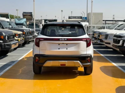 2025 Kia Seltos KIA SELTOS Black Roof 1.5 L 4 Cylinders Engine White Black SUV