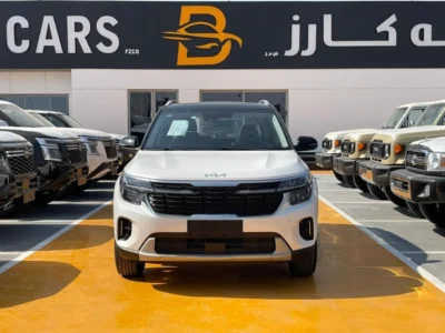 2025 Kia Seltos KIA SELTOS Black Roof 1.5 L 4 Cylinders Engine White Black SUV