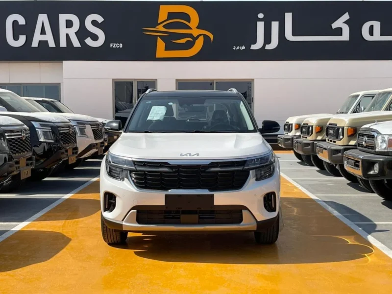 2025 Kia Seltos KIA SELTOS Black Roof 1.5 L 4 Cylinders Engine White Black SUV