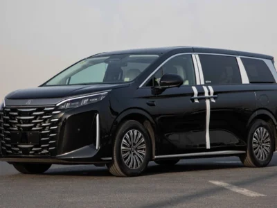 2025 BYD XIA DM-i Hybrid BYD XIA 0KM Black White Van