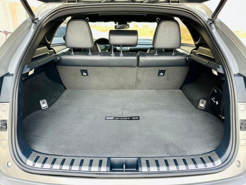 2020 Lexus NX300 F Sport 2.0 Liters 4 Cylinders Engine Gold Black SUV