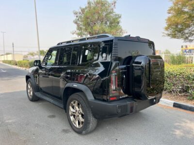 2025 Jetour T2 Luxury 2.0 Liter 4 Cylinder Petrol Engine Black Tan SUV