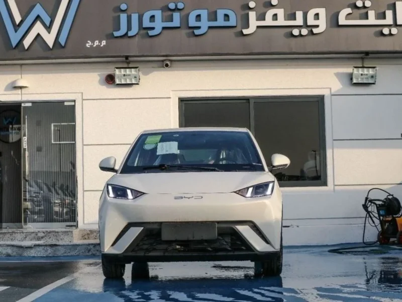 2025 BYD Seagull BYD Seagull Electric Vehicle White Pink Sedan 405KM Range