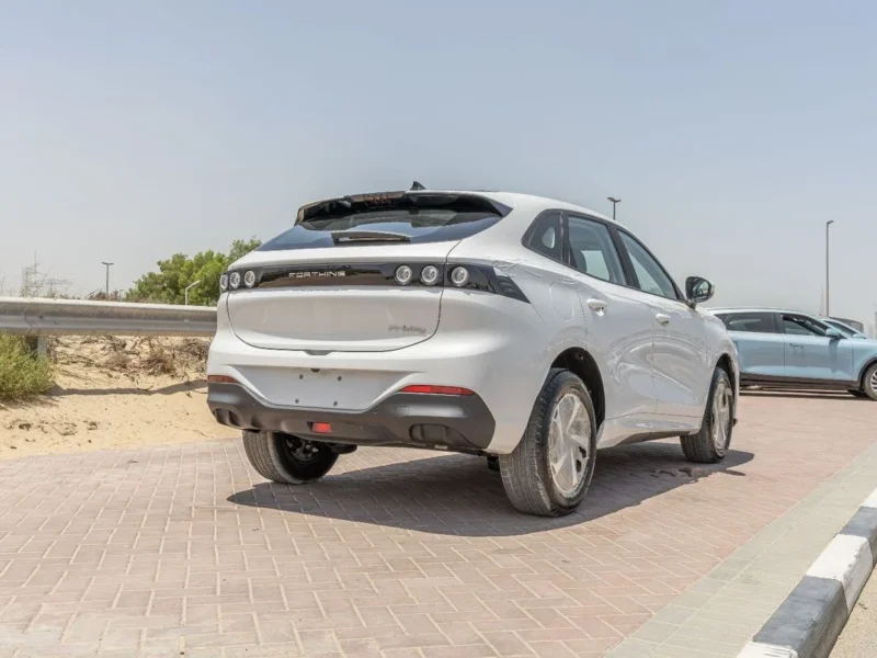 2025 Forthing Friday Dong Feng Electric 410Km White Black SUV