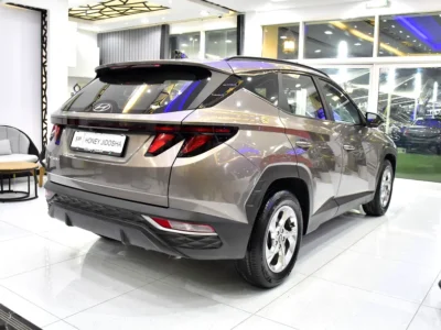 2023 Hyundai Tucson GL 4 Cylinder Engine Petrol Brown Black SUV