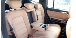 2024 Jetour Jetour T2 2.0L turbocharged I4 Petrol Engine Black Beige