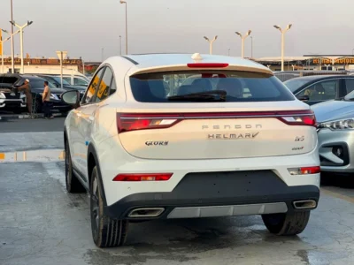 2024 DFSK Fengon 580 Intelligent 4 Cylinders Engine Petrol White Maroon Crossover