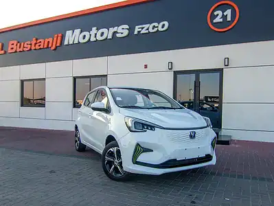 2024 Changan E-Star Full Option 250 - 350 KM White Blue Hatchback