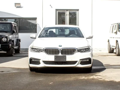 2017 BMW 5-Series 530i M Sport 2.0L Twin-Turbo Petrol 5A Grade White Black