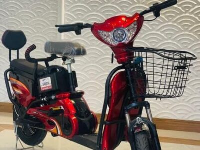 Electric Scooter 48 Volt Battery AMP 12 Red Color