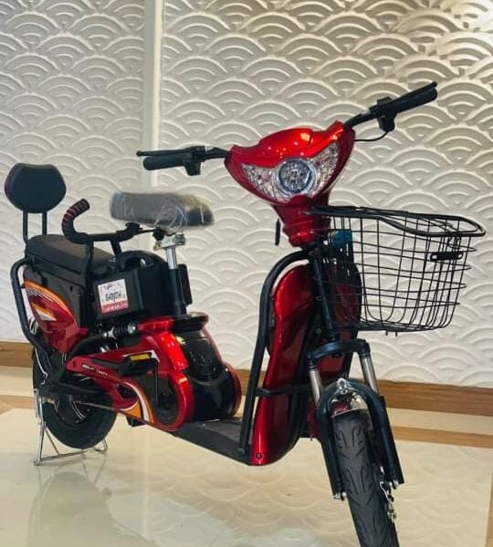 Electric Scooter 48 Volt Battery AMP 12 Red Color