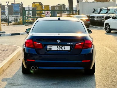 2010 BMW 5-Series 528i 6 Cylinders Engine Blue Beige Sedan