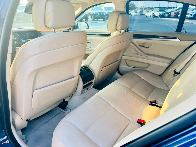 2010 BMW 5-Series 528i 6 Cylinders Engine Blue Beige Sedan