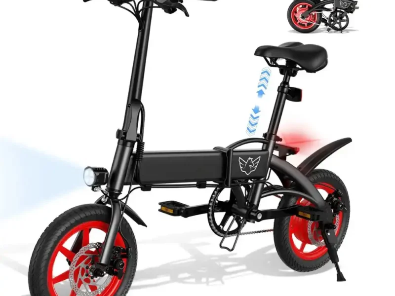 Wind Horse C19 Electric Bike 25 km/h
