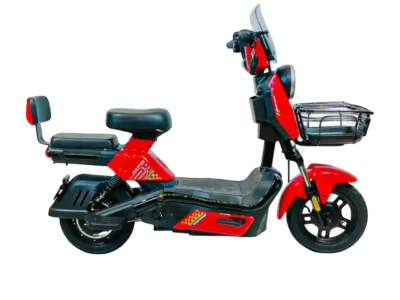 Wind Horse M6 Electric Bike Up to 40 km/h